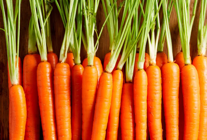 Näringsvärde i morot – en av våra nyttigaste grönsaker