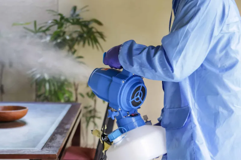 Så saneras mögel på rätt sätt