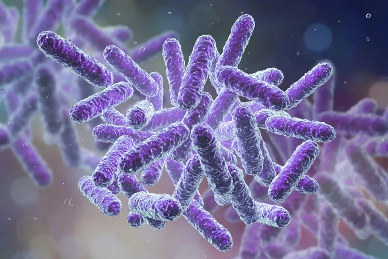 Vad är ketoner? Allt du behöver veta